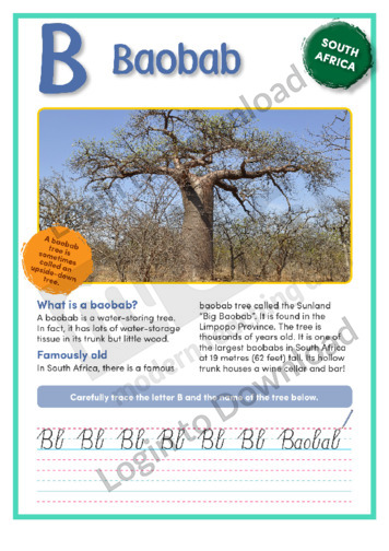 B: Baobab