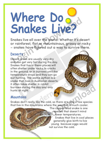 Where Do Snakes Live?