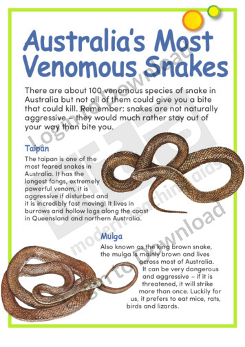 Australia’s Most Venomous Snakes