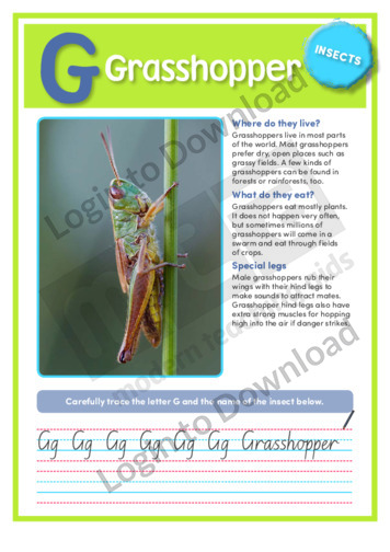 G: Grasshopper