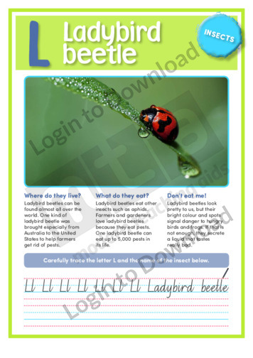 L: Ladybird beetle