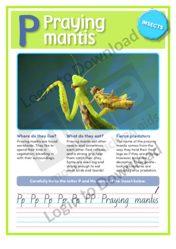 P: Praying mantis