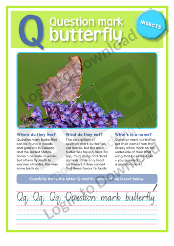 Q: Question mark butterfly