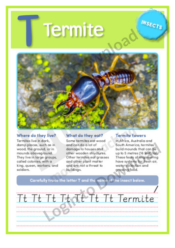 termite essay in english 100 words