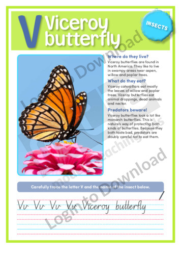 V: Viceroy butterfly