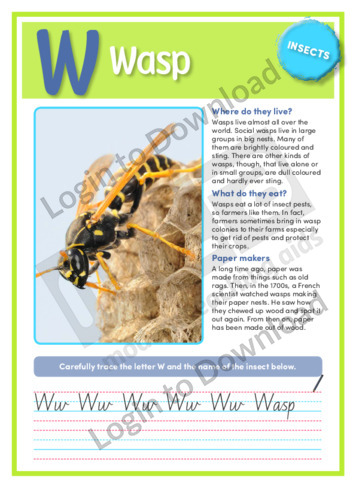 W: Wasp