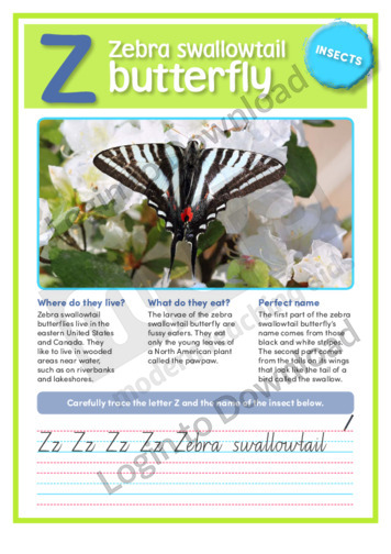 Z: Zebra swallowtail butterfly