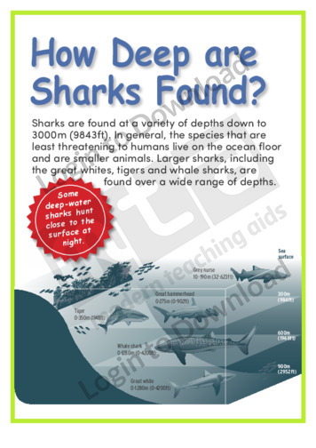 How Deep are Sharks Found?